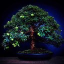 Jonathan Petrus JP - @jonathan_petrus - Twitter