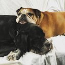 Michael Demler - @MichaelDem3597 - Twitter