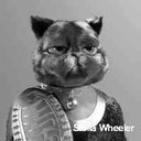 Stella Wheeler - @stellawheeeler - Twitter