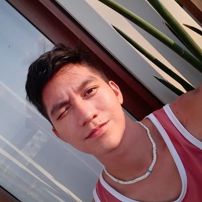 stiffen__'s profile picture. vulaw du tukun