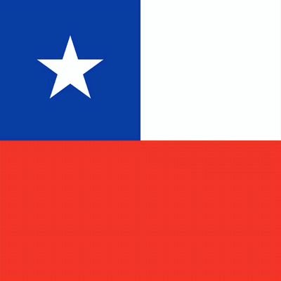 Dios, Patria, Familia Y Libertad / Por La Razón o La Fuerza / Garra Y Filo / Viva 🇨🇱