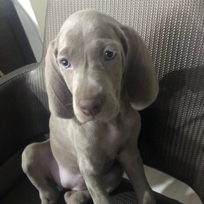 QooQoo9453's profile picture. 別人笑我太瘋癲，我笑他人看不穿！