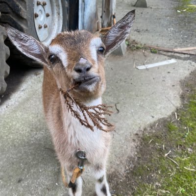 限りなくそ単に近いそ担　ツイ消し常習犯/無言フォロー失礼します🙏ハロヲタでも蟻/雑多