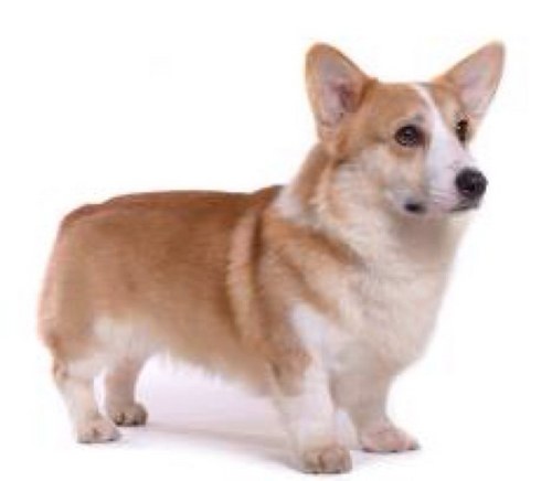 orangebutter141's profile picture. 