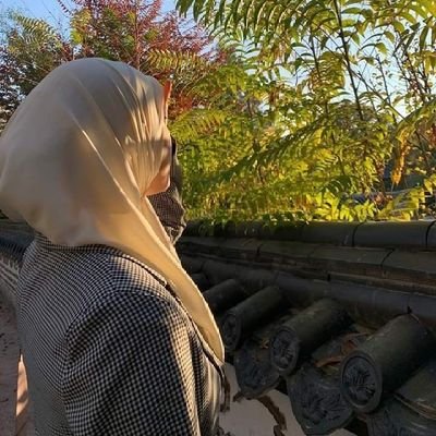 ︎-
﴿ولا تَركَنوا إِلَى الَّذينَ ظَلَموا﴾
قالَ ابْن عبّاس: هُوَ الرُّكونُ إلى الشِّرْكِ.