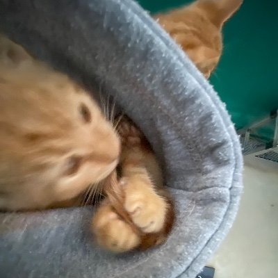 t_ssjblue's profile picture. 