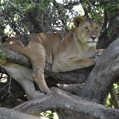 BushAndEvents's profile picture. 🛫wanderlust enthusiasts🌠 exploring the🌏,  join us on unforgettable journey 📷 let's create memories together ,follow for travel tips and exclusive deals ✨