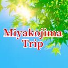 I wait for a Miyakojima status cheap rent-a-car reservation.
★1台6,000円～●phone ➡090-5664-6029『宮古島最安値レンタカー』
#miyakojima  #renta ＃相互フォロー 
▼The reservation fr