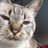 11_n_n_11's profile image