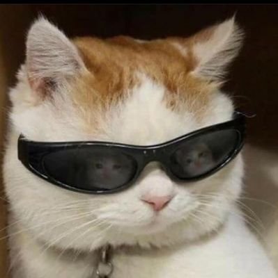 sams6169's profile picture. Exploring web3 •
Crypto trading

irys-verify-0x42e901-sams6169