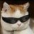 sams6169's profile image