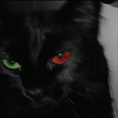 qi308372938875's profile picture. 