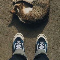 Bigwin🌻 (@abcdefvckbigwin) 's Twitter Profile