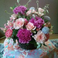 yori (@yori0125) 's Twitter Profile