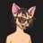 IrvingCrecco732's profile image