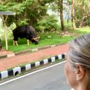 Catherine Rigby - @CatRig5677 - Twitter