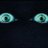 ZyloOfficial's profile image