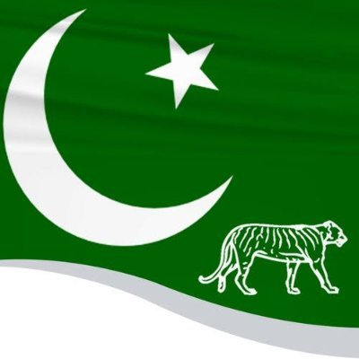 Maryamnawazofficial.com