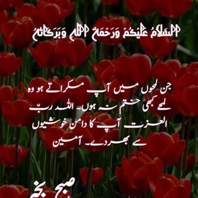 mustafeciise's profile picture. 😀😀