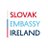 SVKembassyIRL's profile image