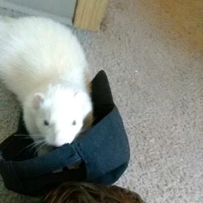 DarbyoG17462835's profile picture. 