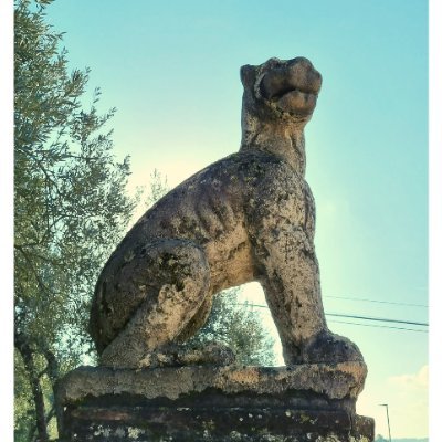 bgfdghtu76ujyt's profile picture. 