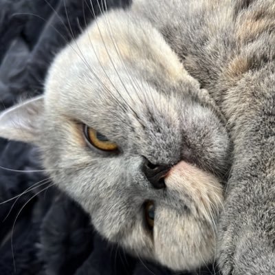 BeeBeeさんのプロフィール画像