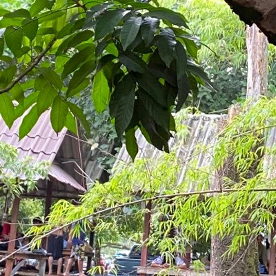 Ttinn2's profile picture. 