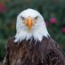 Cryptofever01 - Solix (@cryptofever01) Twitter profile photo Cryptofever01 - Solix (@cryptofever01) Twitter profile photo