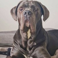 Krystian (@krystianfrodo) 's Twitter Profile