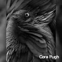 Cora Pugh - @gughpcora - Twitter