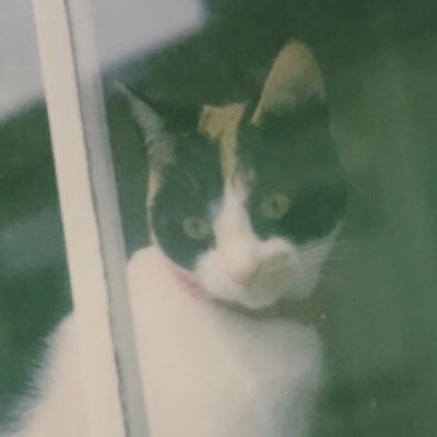 AdrianChau6's profile picture. 