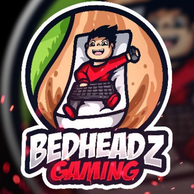 BedHeadzGaming Profile Picture