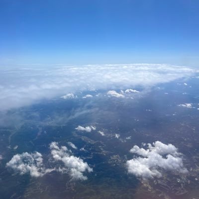 xuridongshen's profile picture. 