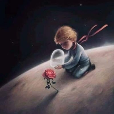 Alafeef_660's profile picture. لا تندم على معرفة احد !! فالشخص الجيد يمنحك السعاده .. والسئ يمنحك التجربه ..