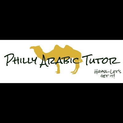 Arabic tutor specializing in online courses from beginners to advanced levels.