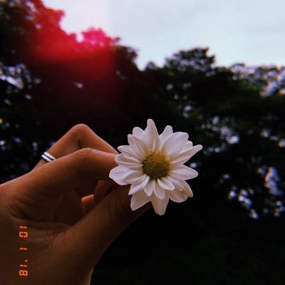 Mickey203975751's profile picture. 