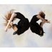 Dance Images (@dance_images) Twitter profile photo Dance Images (@dance_images) Twitter profile photo