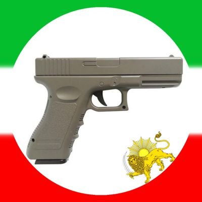 سربازِ آیندهٔ گارد جاویدان شاهنشاه رضا پهلوی
تیم و/ا/م✌️