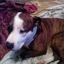 Darren Shaver - @darren_shaver - Twitter