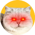 HodlCat ∞÷21m (@alphan1) Twitter profile photo HodlCat ∞÷21m (@alphan1) Twitter profile photo