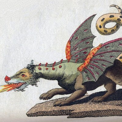 Crackcat100012's profile picture. 