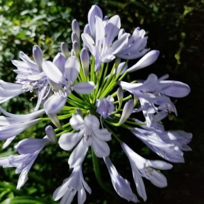 w0zy8VFWfu48580's profile picture. シウさぶ垢