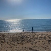 Murat ERTÜRK (@murat2805) 's Twitter Profile