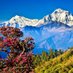 Rabindra Subedi, PhD (@rabindrasubedi2) Twitter profile photo Rabindra Subedi, PhD (@rabindrasubedi2) Twitter profile photo