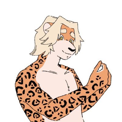 YANAPUMA 🐯🇵🇪さんのプロフィール画像