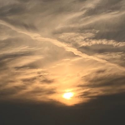 purikuza_knps's profile picture. ども