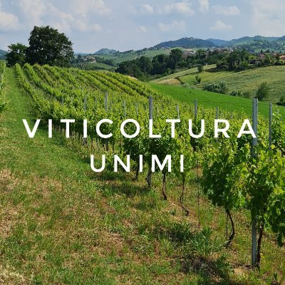 Gruppo di ricerca in viticoltura 🍇
Viticoltura di precisione, adattamento cambiamento climatico, varietà tolleranti, selezione portinnesti, zonazione...