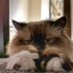 The Chonky God (@thechonkygod) Twitter profile photo The Chonky God (@thechonkygod) Twitter profile photo