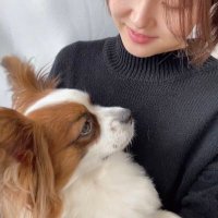 Sunflower (@sunflower03_hm) 's Twitter Profile